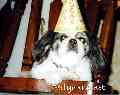 Oscar's 10th Birthday