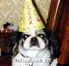Oscar's 10th Birthday